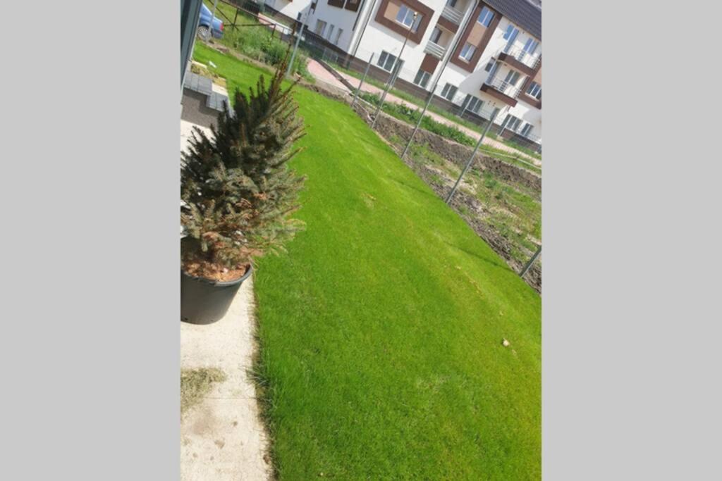 Garden Leisure Apartments Brasov Exterior photo
